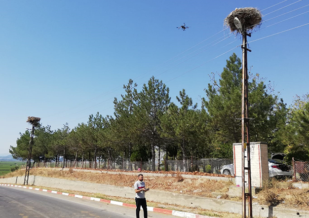 TREDAŞ, LEYLEKLERİN CAN GÜVENLİĞİ İÇİN BAKIM ÇALIŞMALARINI DRONE İLE BELİRLİYOR