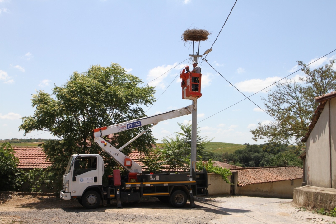 TREDAŞ, leyleklerin baharda güvenli dönüşü için kolları sıvadı